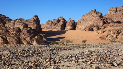 Trek dans les Dunes de Regana en Jordanie