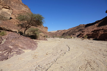 Paysage aride du sud de la Jordanie