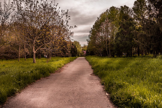 Groomy landscape 