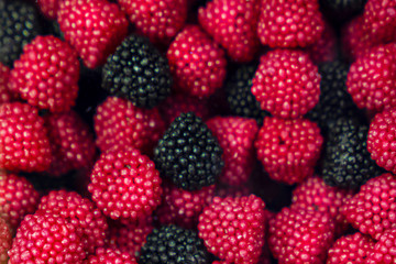 Assorted gummy candies, sweets in the shape of raspberries and blackberries. Top view. Sweet background, red and black