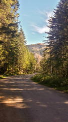 Fototapeta na wymiar Asphalt road in mountains with green trees and blue sky. Road to Morskie Oko in Tatra Mountains in Poland.