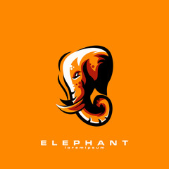 elephant logo design vector abstract illustrator