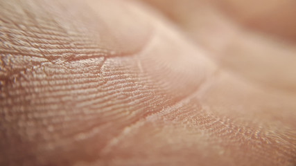 Clean caucasian skin background. Closeup healthy macro skin hand.