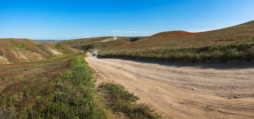 Allphotokz Tamgaly Tas 20090509 1224 5DM2 PS