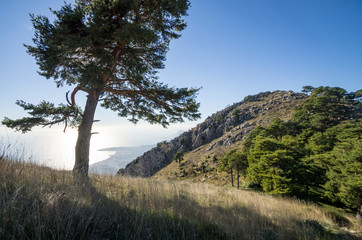 Obraz premium Col du Berceau, montagne proche de Menton, France