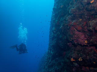 Silhouette of diver in crystal clear water when scuba diving and colorful corals