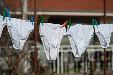 Underpants. Identical white underpants hung on the garden after the laundry. Same underwear dry outdoor.