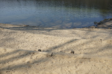Sandstrand an der Krummen Lanke in Berlin