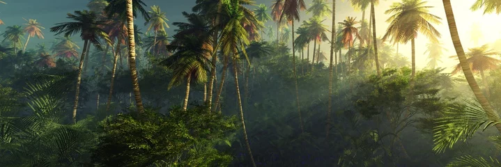 Sonnenaufgang im Dschungel, Palmen im Morgennebel, die Sonnenstrahlen in den Palmen, © ustas