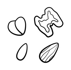 Isolated nuts set in black lines on white background