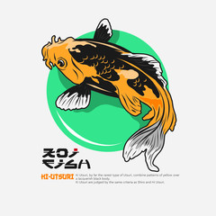 A kind of variety koi fish vector illustration. Good for decoration or any oriental design element.