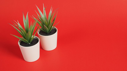 Artificial cactus plants or plastic or fake tree on red background.