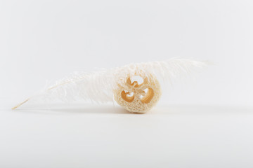 Natural ecological loofah designed for the body and a white beautiful soft feather on a white background.