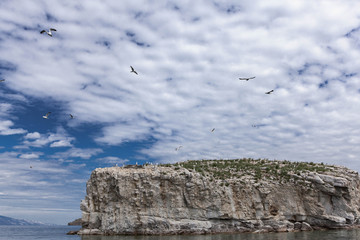 Seagulls flying above the rocky island in Baikal lake