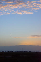 Paisaje cielo con arreboles y aves