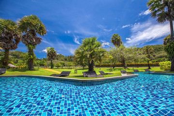 Outdoor swimming pool with palms, grass and beach beds