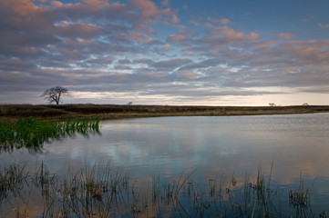 A sunrise sky reflects in the calm surface of a Midwest prairie wetland.