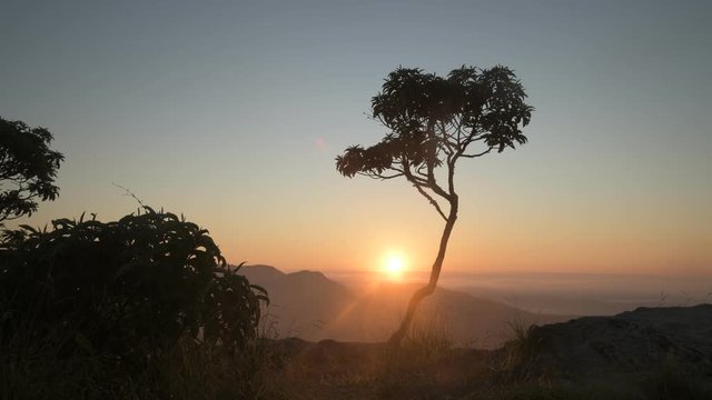 Trees Silhouettes at Sunrise in the Mountains in Brazil