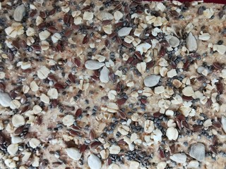 crackers with the sunflower seeds