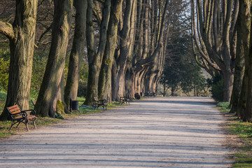 menschenleerer botanischer Garten, Kontakverbot und Ausgangssperre