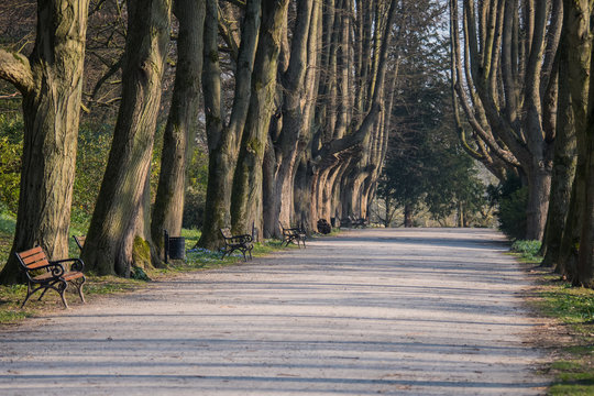 menschenleerer botanischer Garten, Kontakverbot und Ausgangssperre