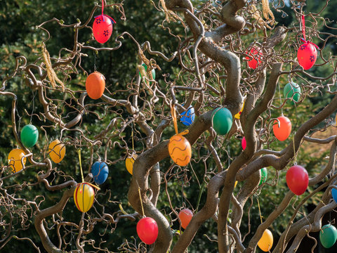 Nahaufnahme eines Eierbaums, Ostertradition in Deutschland, Gartendekoration