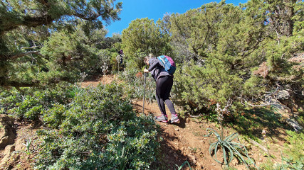 woman hiking in the mountains