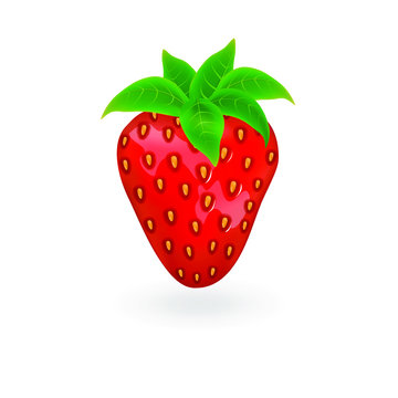 Realistic 3d vector isolated, whole strawberry. Vector illustration for decorative poster, logo natural product, farmers market. Website page and mobile app design.