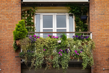 Fototapeta na wymiar Balcony with many green plants in the city, concept urban gardening