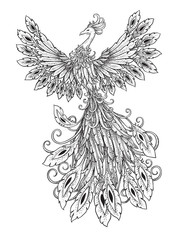 Graphic phoenix bird with tail