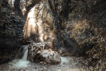 Sun rays over the stream inside the forest. Fine Art Morning Sun Rays on a river in Epirus Greece.