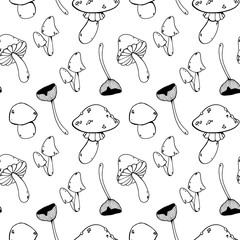 Autumn mushrooms seamless pattern cute outline doodle digital art on white background. Print for wrapping paper, kitchen textiles, covers, books, cards, invitations, web, covers, banners.