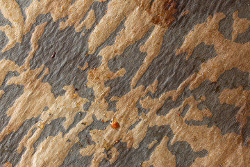 Background texture of greasy baking paper laying on a baking tray