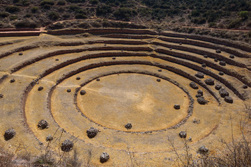 Circular green Inca terraces of Moray in the Sacred Valley near Cusco, Peru