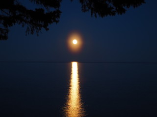 Moonlight on the lake