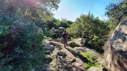 Obraz premium hiking in the mountains