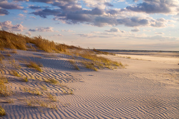 Fototapeta na wymiar Far Rockaway beach, sanddunes on beach, empty beach during sundown, beautiful beach in nature