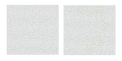 Huge 80x80 rectangular maze with solution