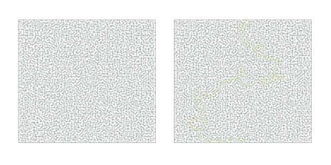 Huge 80x80 rectangular maze with solution