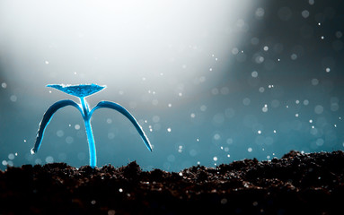 Rising young fresh plant growing in heavy rain. Symbolizes the struggle for a new life. Blue...