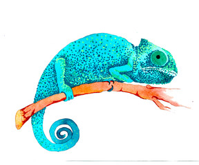 Watercolor painted baby chameleon of blue turquoise color on a branch Isolated on a white background. Creative illustrations for kids design, wallpaper, packaging, textiles, packaging design