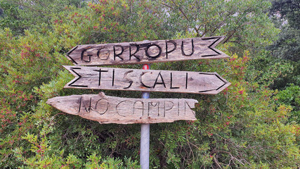wooden sign in the forest