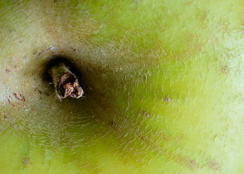 Foto scattata ad una mela.