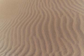 Fototapeta na wymiar Beautiful sand structure in the Sahara desert, sand dunes, macro