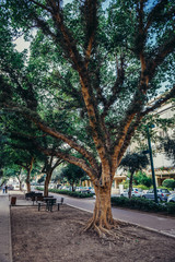Sidewalk next to Ben Gurion Avenue in Tel Aviv, Israel