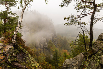 Low-hanging clouds and fog between the rock formations of Saxon Switzerland