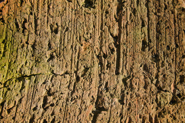 Texture of old stone photo in the sunlight