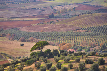 Naklejka premium Panorama on the Tuscan countryside from Capalbio Tuscany Italy