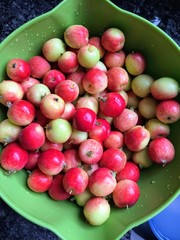 Freshly watched bowl of fresh crabapples