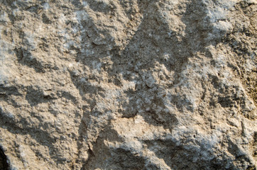 Texture of old stone photo in the sunlight